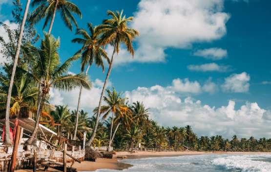PORTO SEGURO | RÉVEILLON